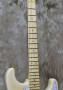 Fender Japan Exclusive Richie Kotzen Stratocaster See-through White Burst 6